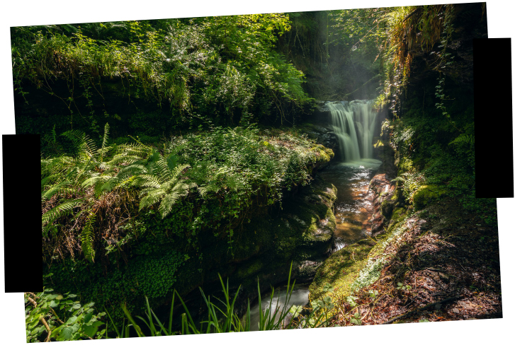 Viajes a medida. Viajes que inspiran. Cascada de un río de aguas cristalinas en la selva