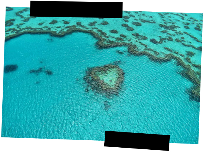 Viajes a medida. Viajes que inspiran. Vista cenital de aguas turquesas y un arrecife de coral