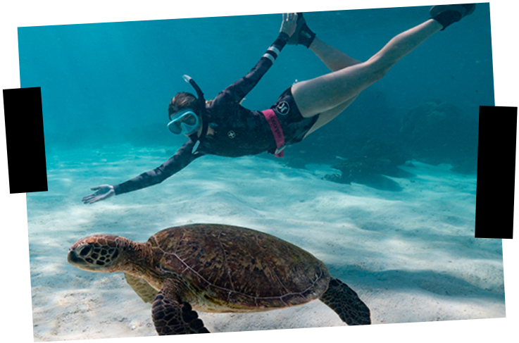 Viajes a medida. Viajes que inspiran. Una mujer hace snorkel cerca de una tortuga marina