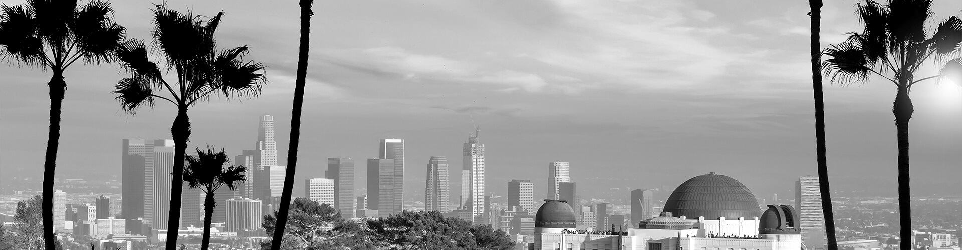 Viajes a medida. Viajes que inspiran. Skyline de la ciudad de Los Ángeles en la que se ve el observatorio, otros edificios y palmeras