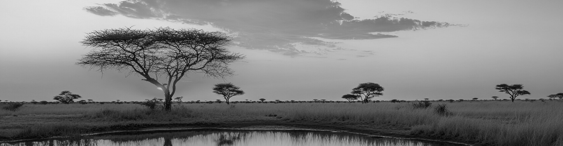 Viajes a medida. Viajes que inspiran. Paisaje de la sabana en Uganda