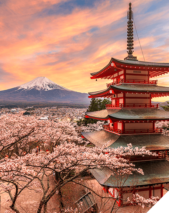 Viajes de novios. Primavera. Una pagoda roja rodeada de almendros y al fondo se divisa el monte Fuji
