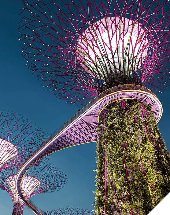 Viajes de novios. Otoño. Edificios que integran la arquitectura con la naturaleza en Singapur