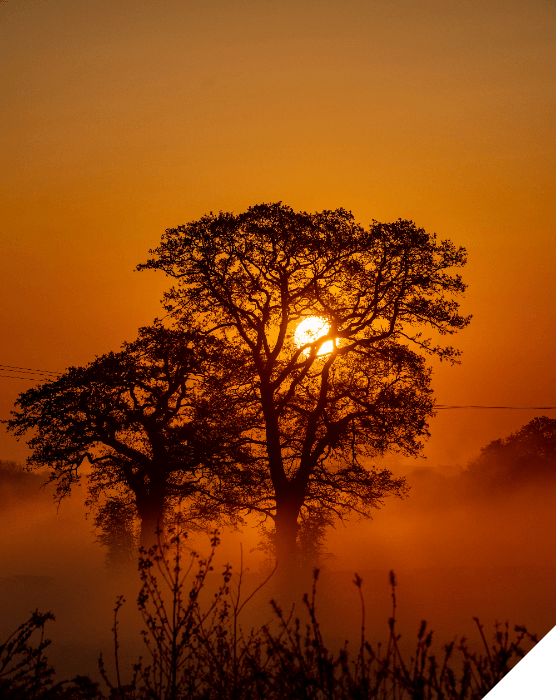 Viajes de novios. Verano. Paisaje de la saban en una puesta de sol en Tanzania