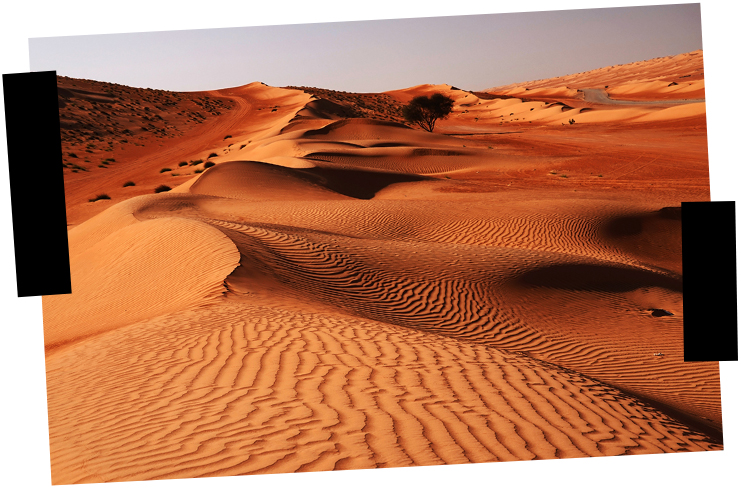 Viajes a medida - Omán - Desierto Viajes a medida. Viajes que inspiran. Desierto de dunas en Omán