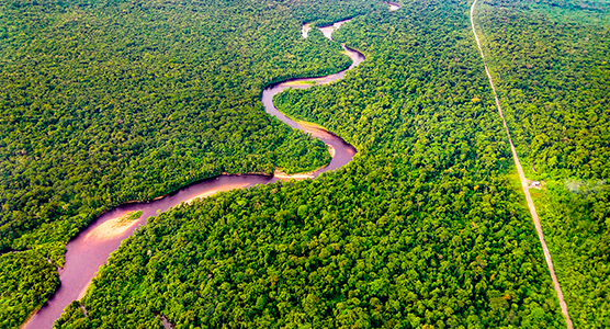 Vista serena del río Amazonas en Colombia, rodeado de selva virgen, ideal para experiencias de lujo en la naturaleza.