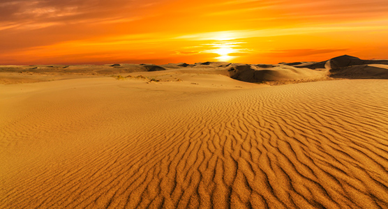 Dunas doradas del desierto de Wahiba Sands al atardecer, una experiencia exclusiva de viaje de lujo en Omán.