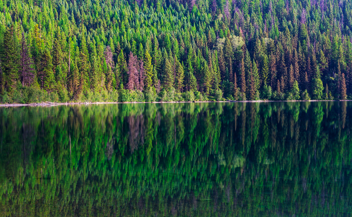 Lago en calma rodeado de bosques cerca de Ontario, Canadá, escenario de un viaje exclusivo y personalizado por la naturaleza más auténtica del país