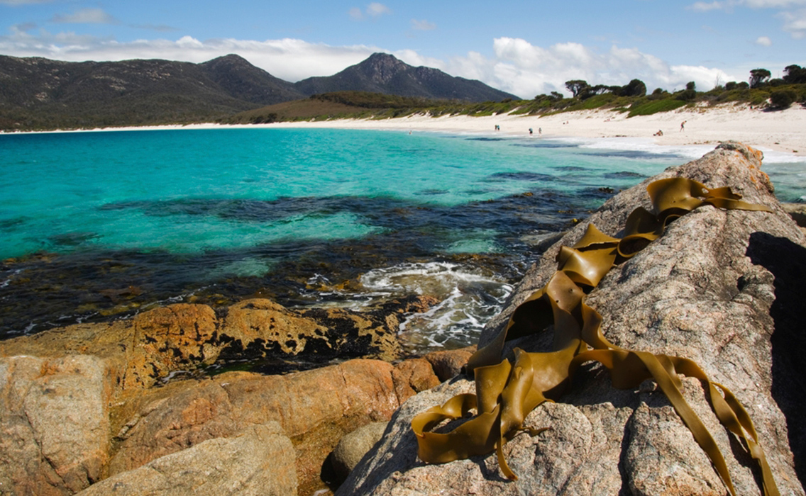 Playa de arena blanca en el Parque Nacional de Freycinet, Tasmania, rodeada de aguas turquesas y naturaleza prácticamente intacta.