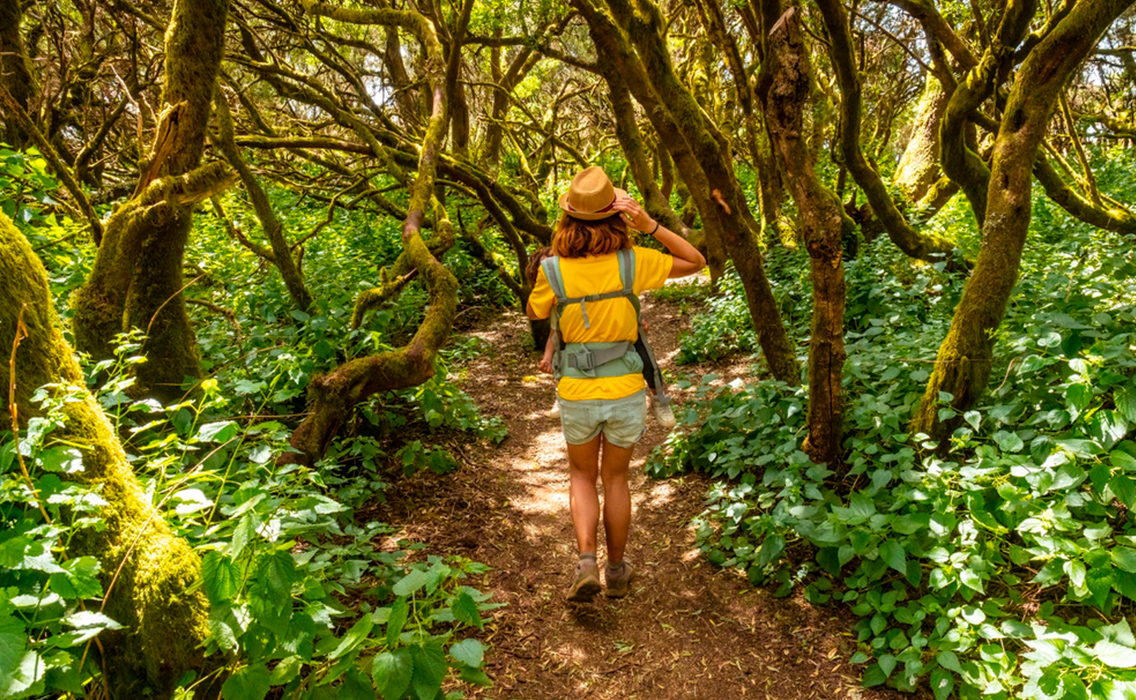 Joven caminando entre la vegetación de El Brezal, en el parque forestal húmedo de La Llanía, El Hierro, Canarias.